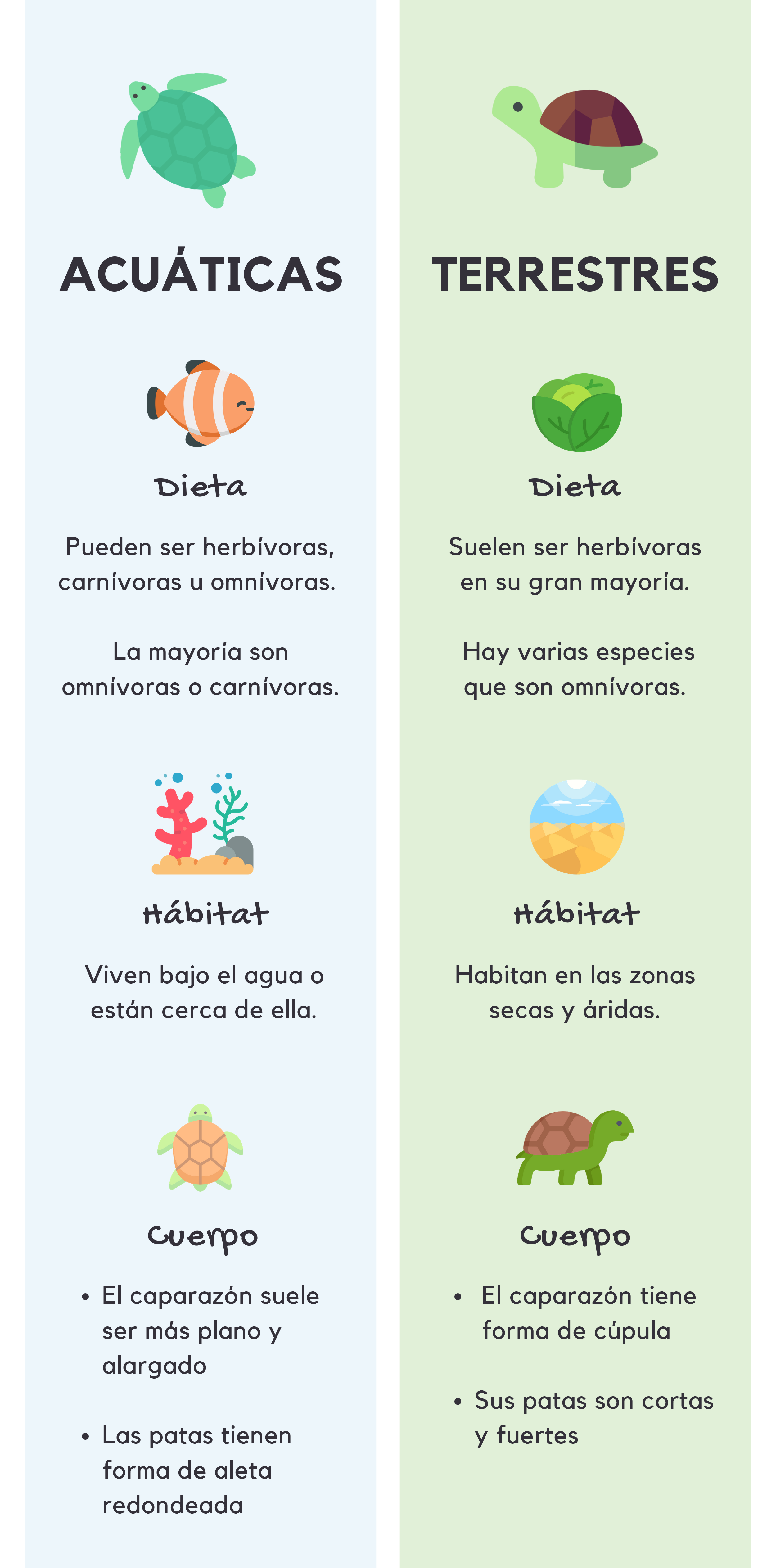 diferencias-entre-tortugas-de-agua-y-tortugas-de-tierra